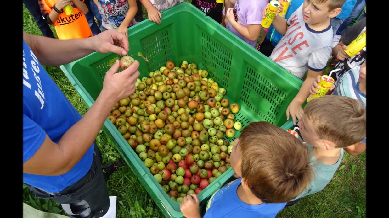 Goldener Panther 2019: LJ St. Ruprecht/Raab