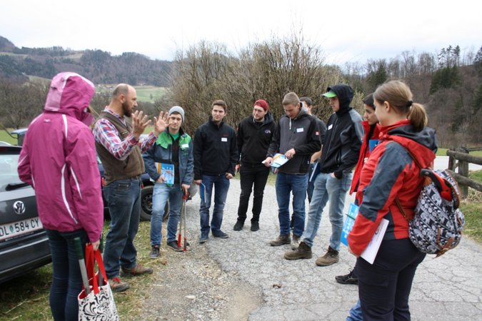 KURS Obstbaumschnitt