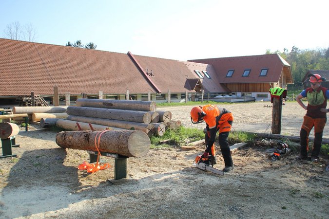 Forst Trainingstag Ost