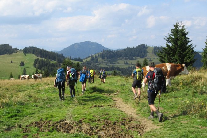 Der WEG nach Mariazell