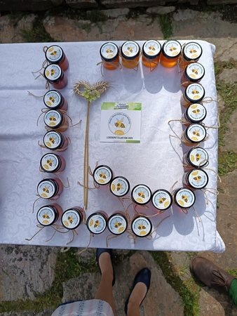 Das war die Lebensmittelaktion 2025